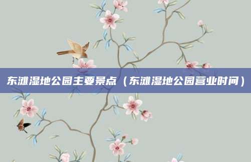 东滩湿地公园主要景点（东滩湿地公园营业时间）