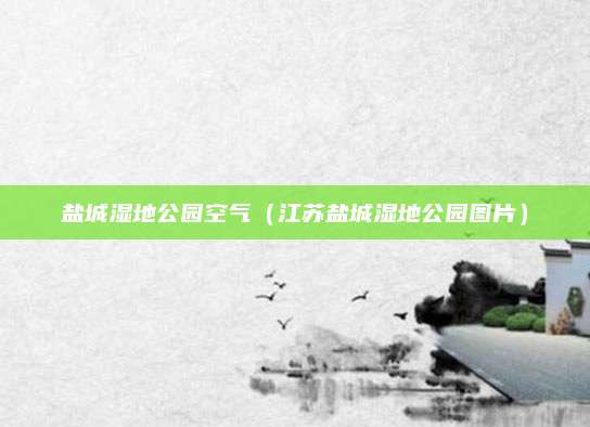 盐城湿地公园空气（江苏盐城湿地公园图片）