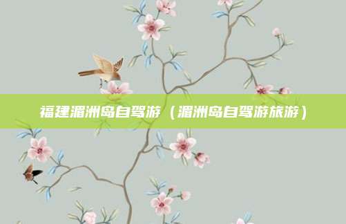 福建湄洲岛自驾游（湄洲岛自驾游旅游）