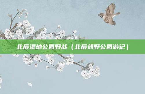 北辰湿地公园野战（北辰郊野公园游记）
