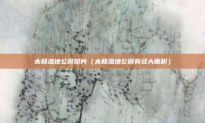 太和湿地公园图片(太和湿地公园有多大面积)