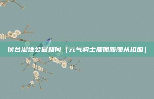 侯台湿地公园如何(元气骑士雇佣新随从扣血)