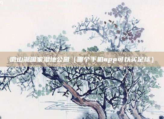 徽山湖国家湿地公园（哪个手机app可以买足球）