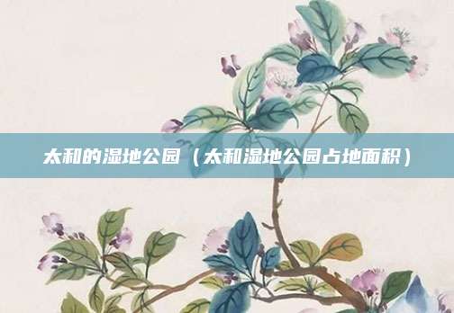 太和的湿地公园(太和湿地公园占地面积)