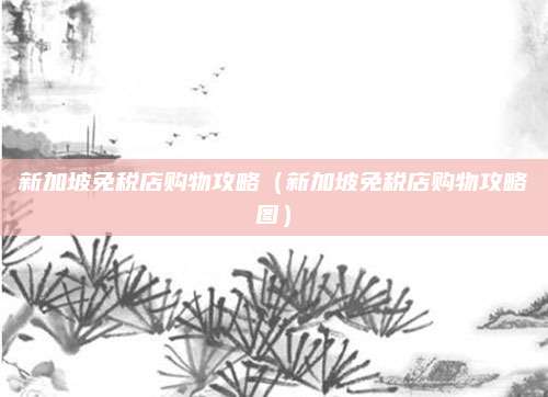 新加坡免税店购物攻略（新加坡免税店购物攻略图）