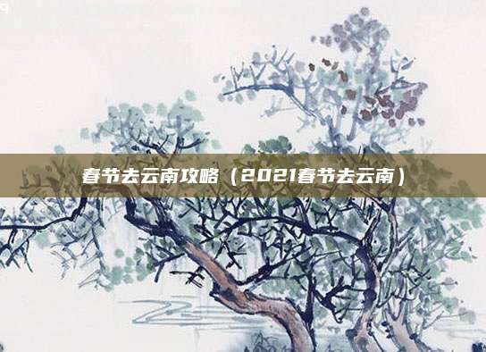 春节去云南攻略（2021春节去云南）