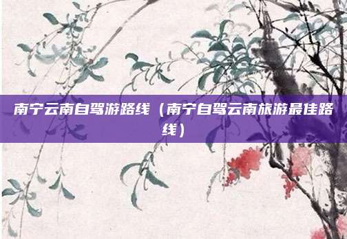 南宁云南自驾游路线（南宁自驾云南旅游最佳路线）