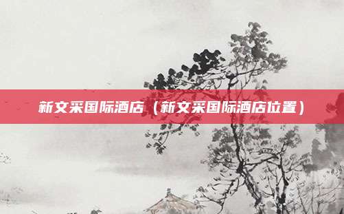 新文采国际酒店(新文采国际酒店位置)
