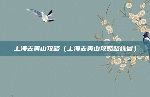 上海去黄山攻略（上海去黄山攻略路线图）