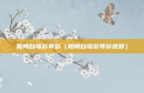 阳朔自驾游导游（阳朔自驾游导游视频）