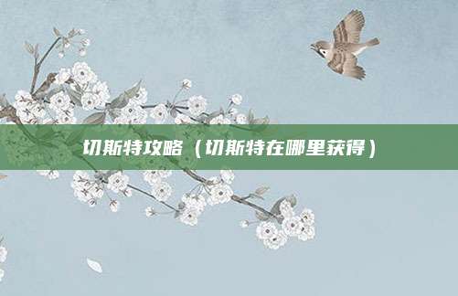 切斯特攻略(切斯特在哪里获得)