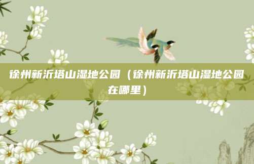徐州新沂塔山湿地公园(徐州新沂塔山湿地公园在哪里)