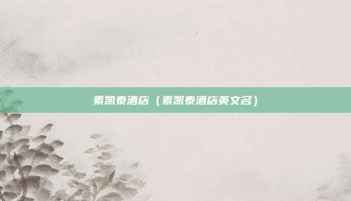 素凯泰酒店(素凯泰酒店英文名)