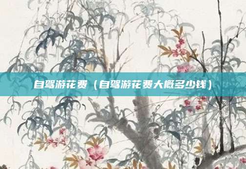 自驾游花费(自驾游花费大概多少钱)