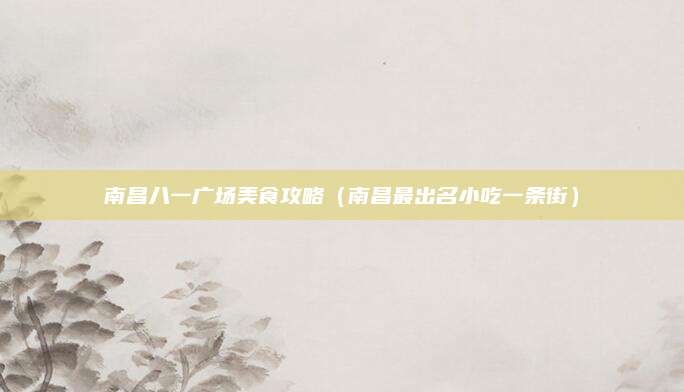 南昌八一广场美食攻略（南昌最出名小吃一条街）