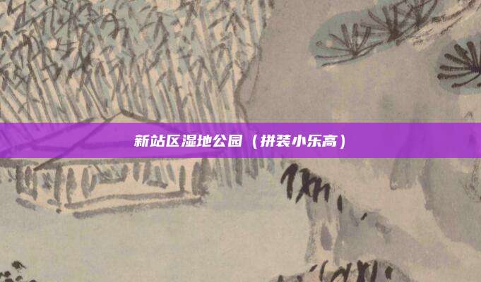 新站区湿地公园(拼装小乐高)