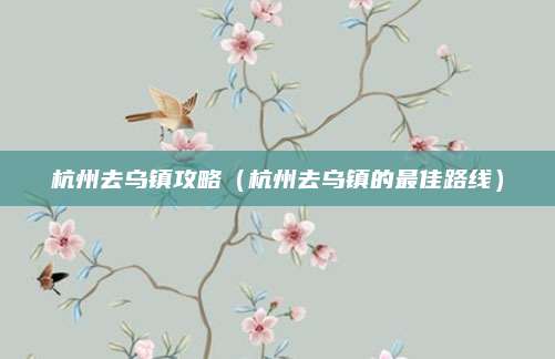 杭州去乌镇攻略（杭州去乌镇的最佳路线）