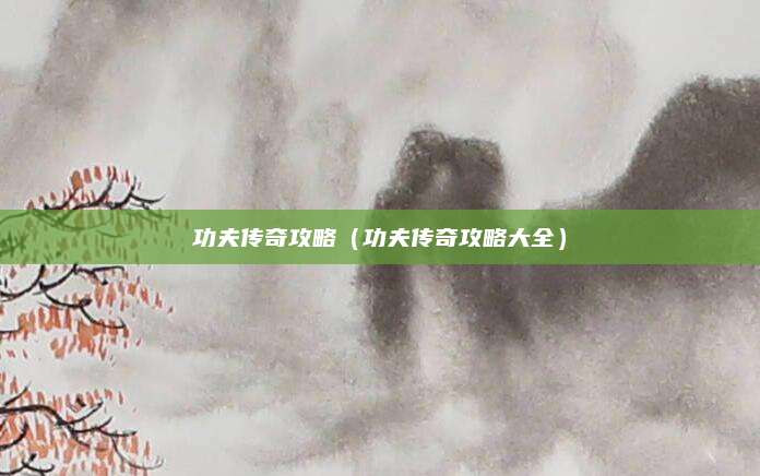 功夫传奇攻略(功夫传奇攻略大全)