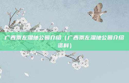 广西崇左湿地公园介绍（广西崇左湿地公园介绍资料）