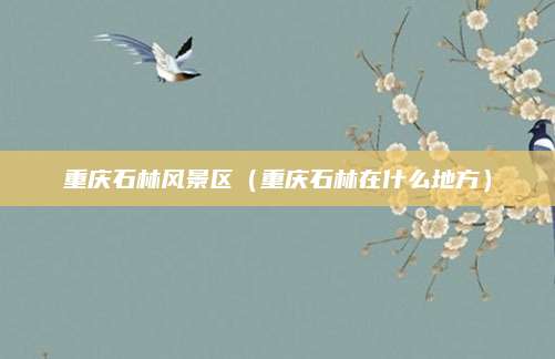 重庆石林风景区（重庆石林在什么地方）