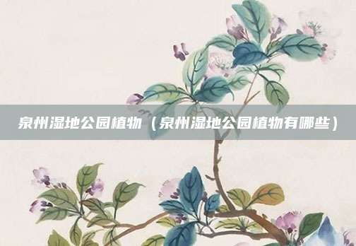 泉州湿地公园植物（泉州湿地公园植物有哪些）