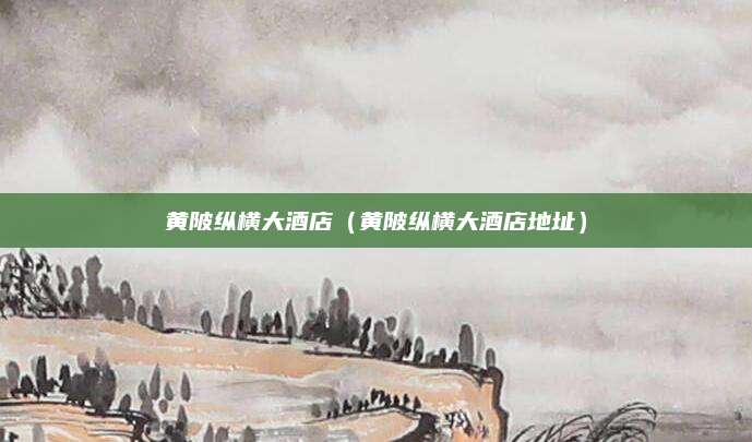 黄陂纵横大酒店(黄陂纵横大酒店地址)