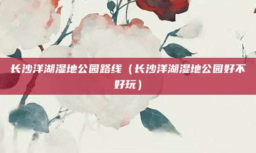 长沙洋湖湿地公园路线(长沙洋湖湿地公园好不好玩)