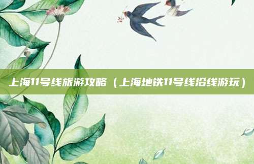 上海11号线旅游攻略(上海地铁11号线沿线游玩)
