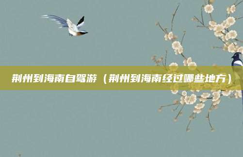 荆州到海南自驾游(荆州到海南经过哪些地方)