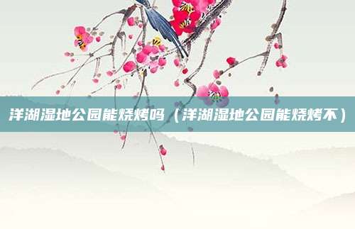 洋湖湿地公园能烧烤吗(洋湖湿地公园能烧烤不)