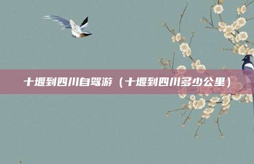 十堰到四川自驾游(十堰到四川多少公里)
