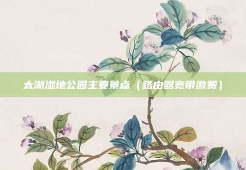 太湖湿地公园主要景点(路由器宽带缴费)