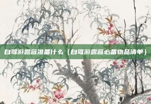 自驾游露营准备什么（自驾游露营必备物品清单）
