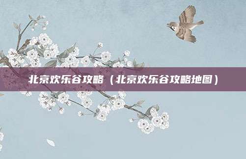 北京欢乐谷攻略（北京欢乐谷攻略地图）