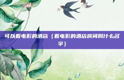 可以看电影的酒店（看电影的酒店房间叫什么名字）