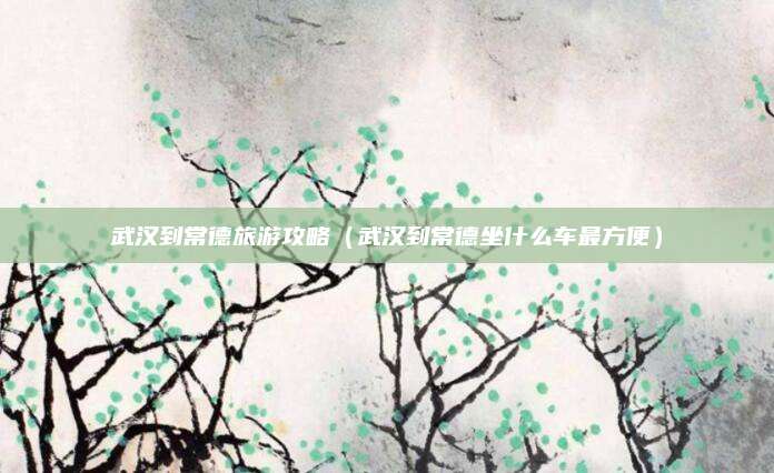 武汉到常德旅游攻略（武汉到常德坐什么车最方便）