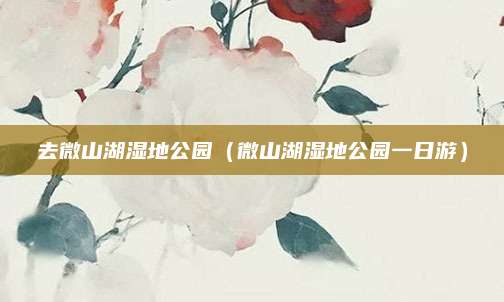 去微山湖湿地公园（微山湖湿地公园一日游）