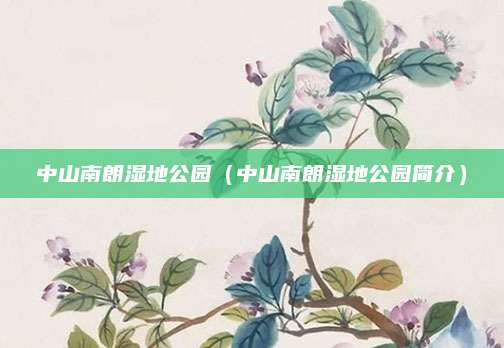 中山南朗湿地公园（中山南朗湿地公园简介）