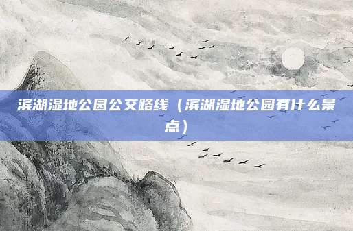 滨湖湿地公园公交路线（滨湖湿地公园有什么景点）