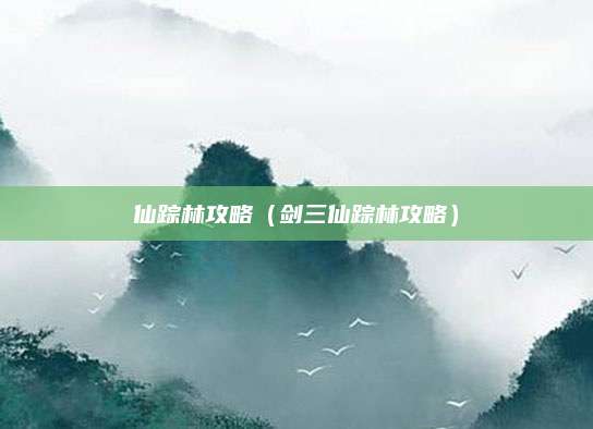 仙踪林攻略（剑三仙踪林攻略）