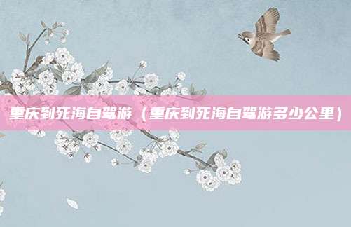 重庆到死海自驾游（重庆到死海自驾游多少公里）