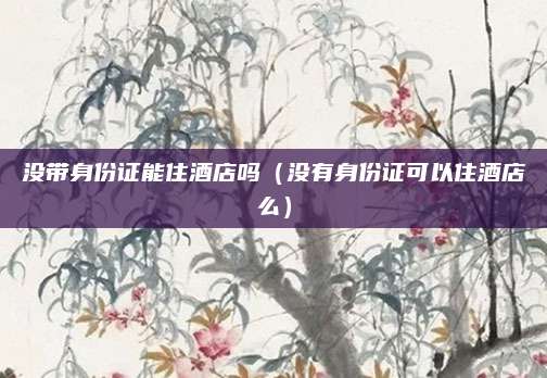 没带身份证能住酒店吗（没有身份证可以住酒店么）