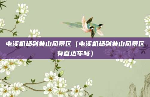 屯溪机场到黄山风景区（屯溪机场到黄山风景区有直达车吗）