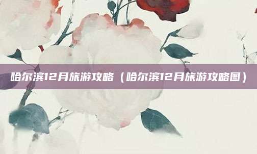 哈尔滨12月旅游攻略（哈尔滨12月旅游攻略图）