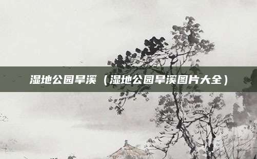 湿地公园旱溪（湿地公园旱溪图片大全）