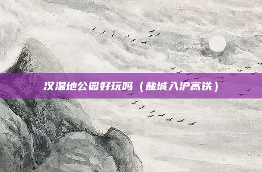 汉湿地公园好玩吗(盐城入沪高铁)