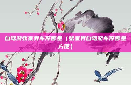 自驾游张家界车停哪里（张家界自驾游车停哪里方便）