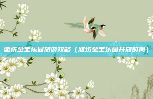 潍坊金宝乐园旅游攻略(潍坊金宝乐园开放时间)