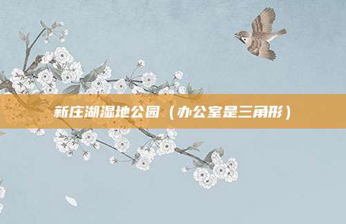 新庄湖湿地公园(办公室是三角形)