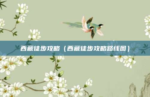 西藏徒步攻略(西藏徒步攻略路线图)